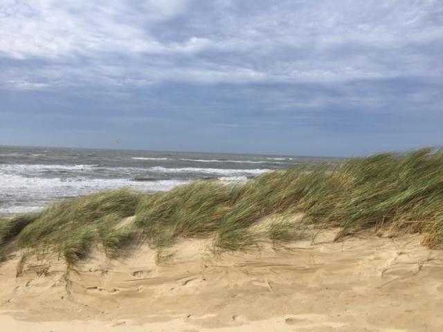 De Nollen Leilighet Egmond aan den Hoef Eksteriør bilde